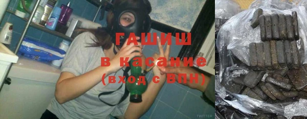 индика Няндома