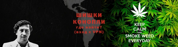 mdma Новозыбков