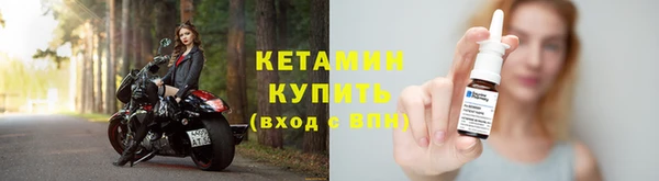 индика Няндома