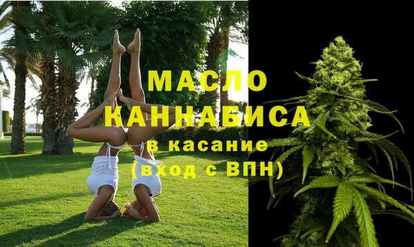 индика Няндома