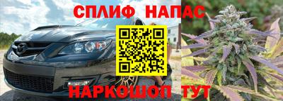 гашик Нальчик