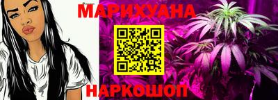 гашик Нальчик