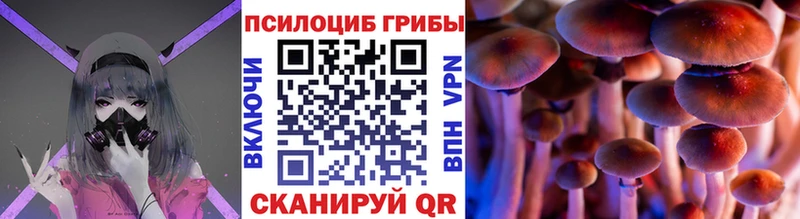 Галлюциногенные грибы прущие грибы  Урус-Мартан 